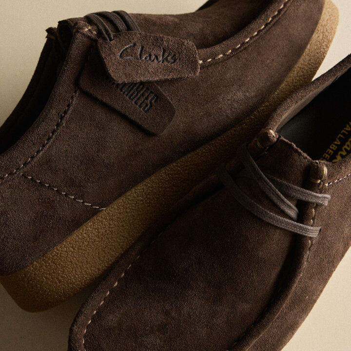 Clarks Suede Shoe